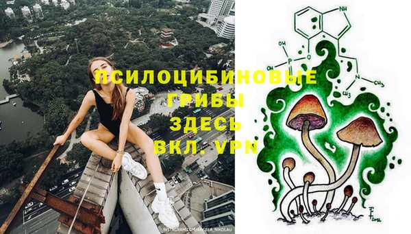 гидропоника Белоозёрский