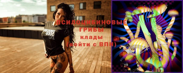 гидропоника Белоозёрский
