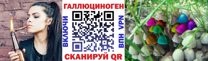 Купить где  Ростов  Псилоцибиновые грибы Psilocybine cubensis 