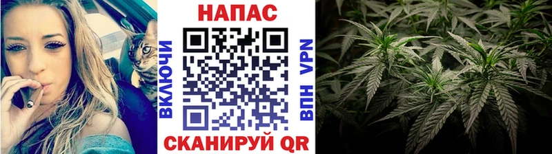 Купить  Ростов  Канабис OG Kush 
